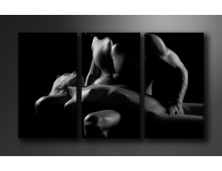 Cuadro Pasión 160x90 3 partes