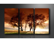 Cuadro paisaje 160x90 cm 3 partes