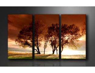 Cuadro paisaje 160x90 cm 3 partes
