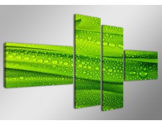 Cuadro frescor 160x70 4 partes