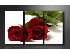 Cuadro lienzo 160x90 cm 3 partes