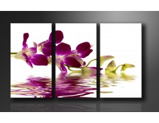 Cuadro lienzo 160x90 cm 3 partes