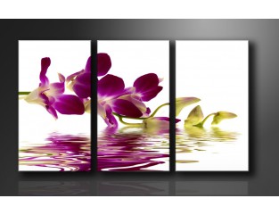 Cuadro lienzo 160x90 cm 3 partes