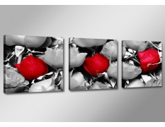 Cuadro lienzo 150x50 cm 3 partes