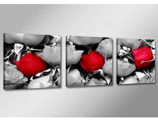 Cuadro lienzo 150x50 cm 3 partes