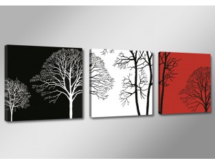 Cuadro lienzo 150x50 cm 3 partes