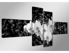 Cuadro lienzo 160x70 cm 4 partes