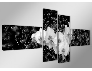 Cuadro lienzo 160x70 cm 4 partes