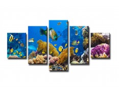 Cuadro acuario 160x80 cm 5 partes