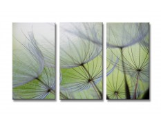 Cuadro Floral 160x90 cm 3 partes