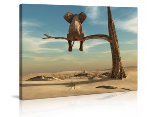 Cuadro leon 80x60 cm