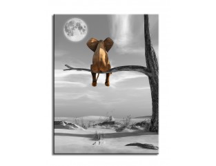 Cuadro elefante 80x60 cm