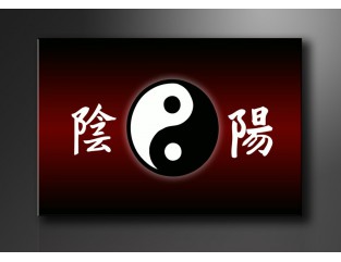 Cuadro Yin-Yang 120x80 cm